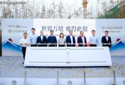 魏县逾期房源爆料最新消息,揭秘逾期房源背后的真相与应对策略